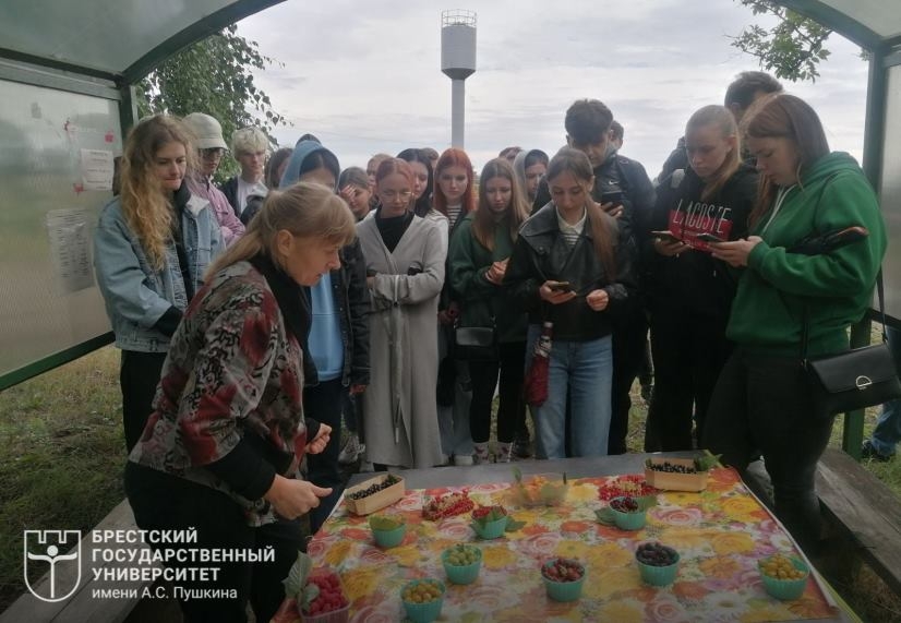 Путешествие в мир тайн природы и города