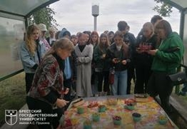 Путешествие в мир тайн природы и города